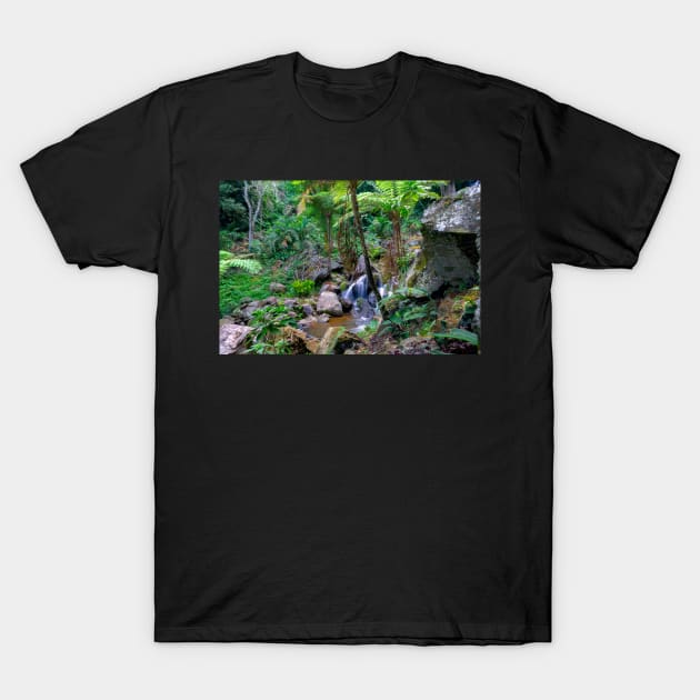 Philippine Highlands - Maao T-Shirt by likbatonboot